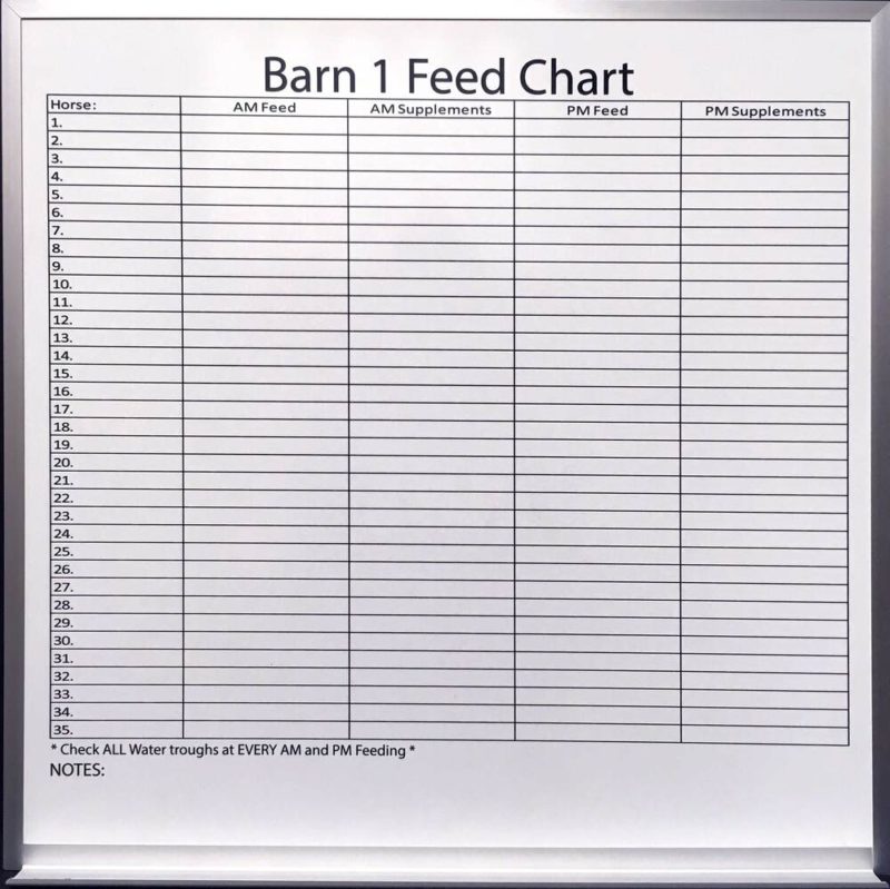 Horse Barn Feed Chart - Magnetic 24" x 24" with a tray custom printed permanent embedment