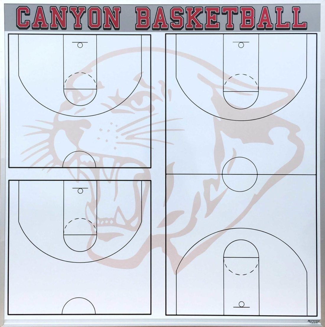 Canyon HS Basketball 48" x 48"