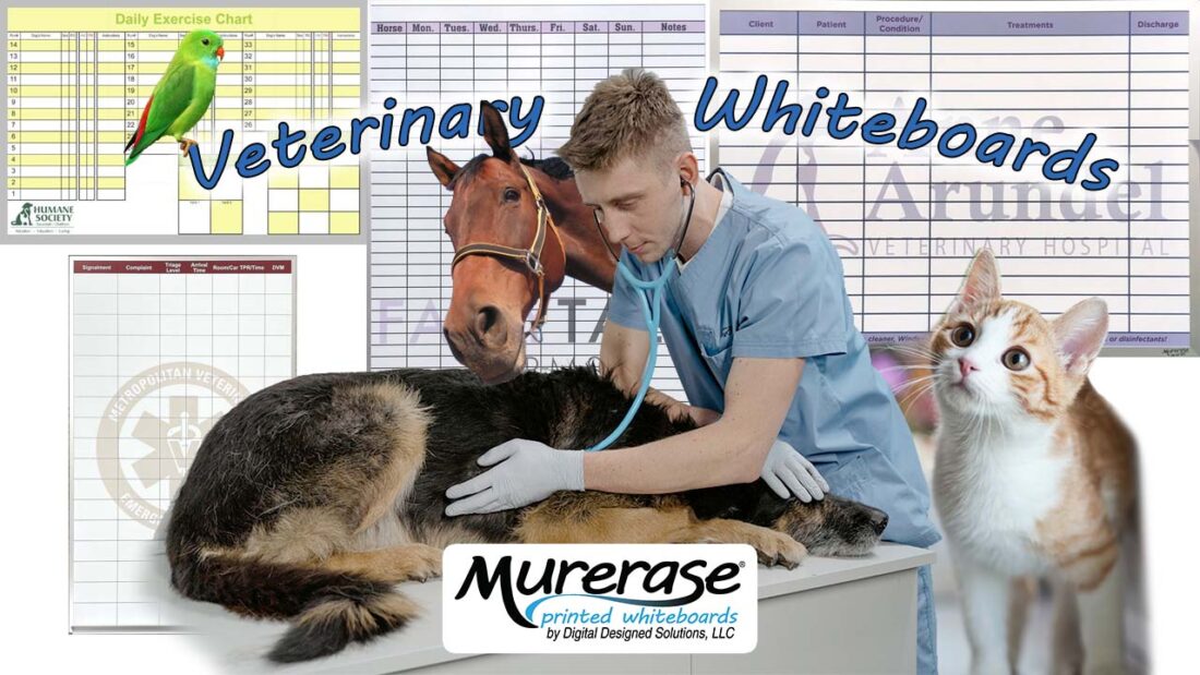 Custom Veterinary Whiteboards