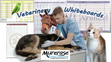 Custom Veterinary Whiteboards